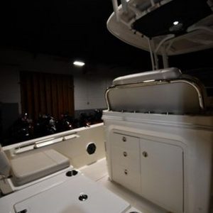 2022 Boston Whaler 250 Dauntless