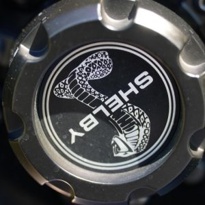 2017 Ford Shelby F-150 4×4