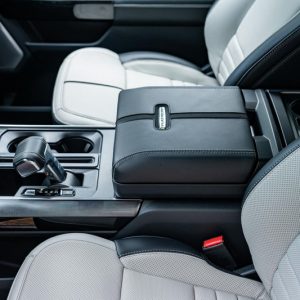 2022 Ford F-150 Lightning Platinum